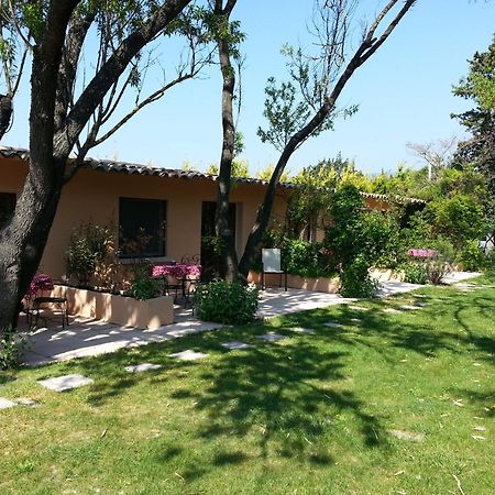Mas La Provence Bed and Breakfast LʼIsle-sur-la-Sorgue Buitenkant foto