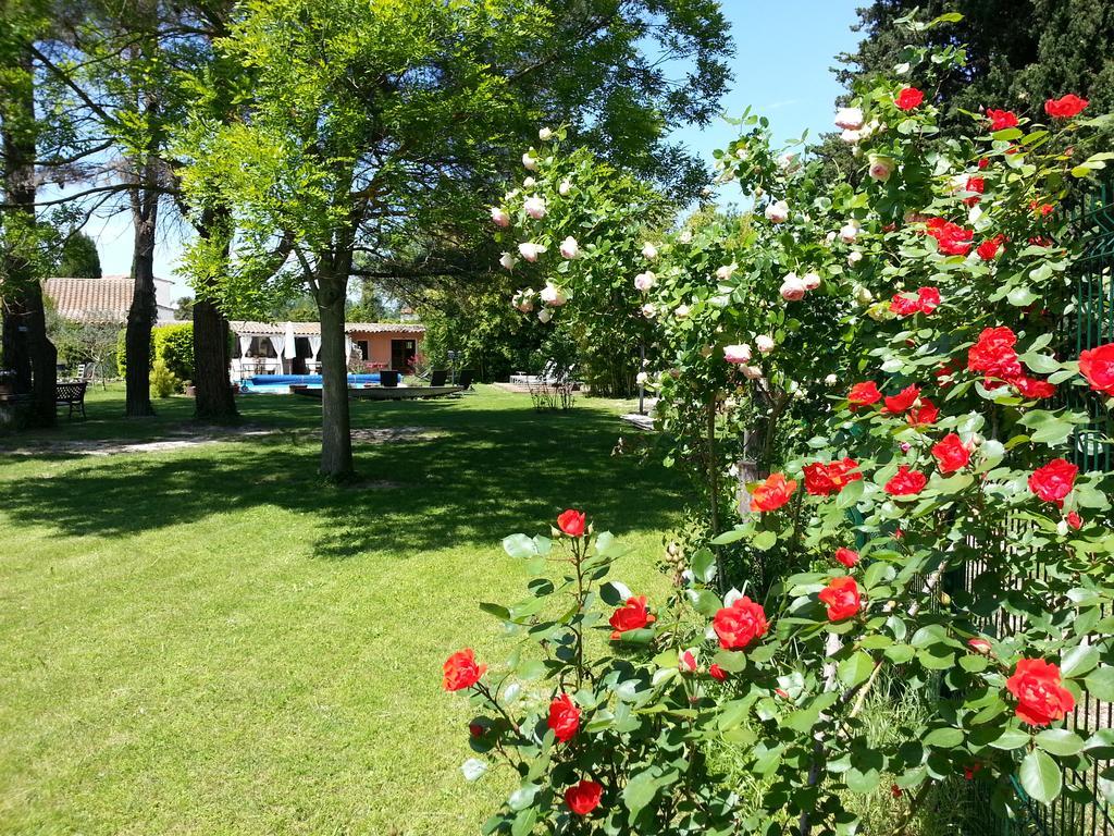 Mas La Provence Bed and Breakfast LʼIsle-sur-la-Sorgue Buitenkant foto