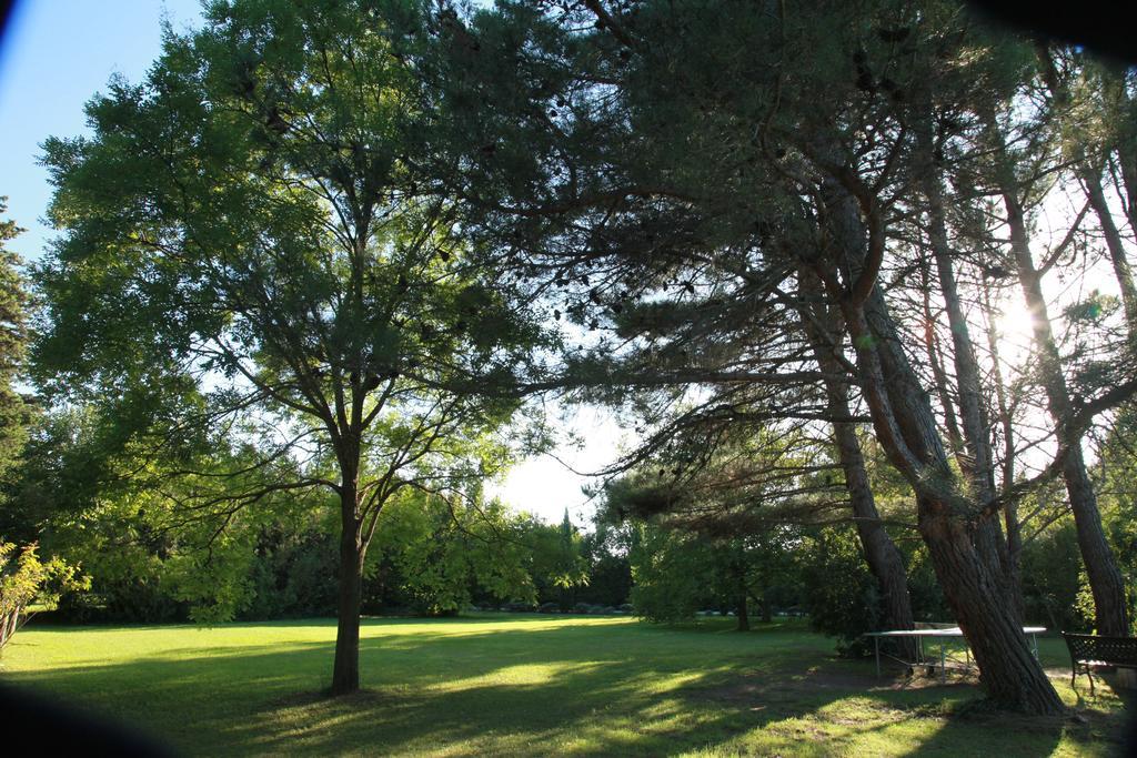 Mas La Provence Bed and Breakfast LʼIsle-sur-la-Sorgue Buitenkant foto